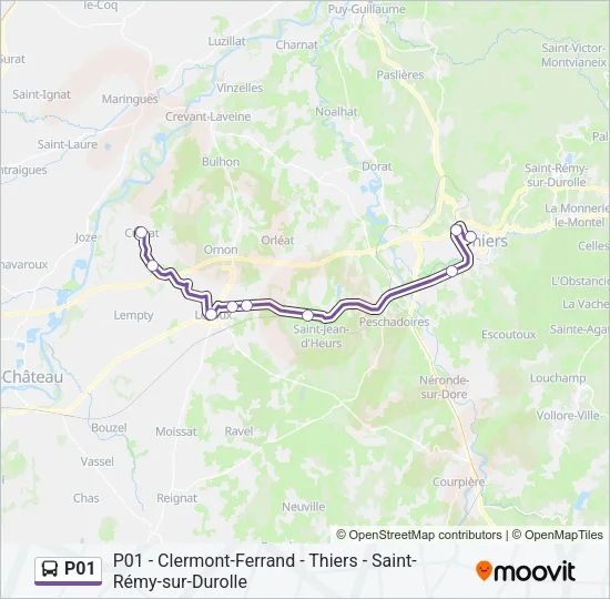P01 Bus Line Map