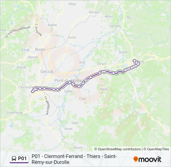 P01 Bus Line Map