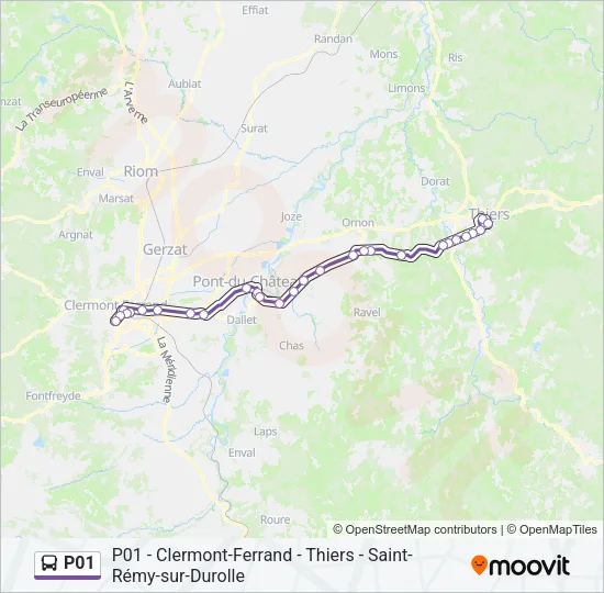 P01 Bus Line Map