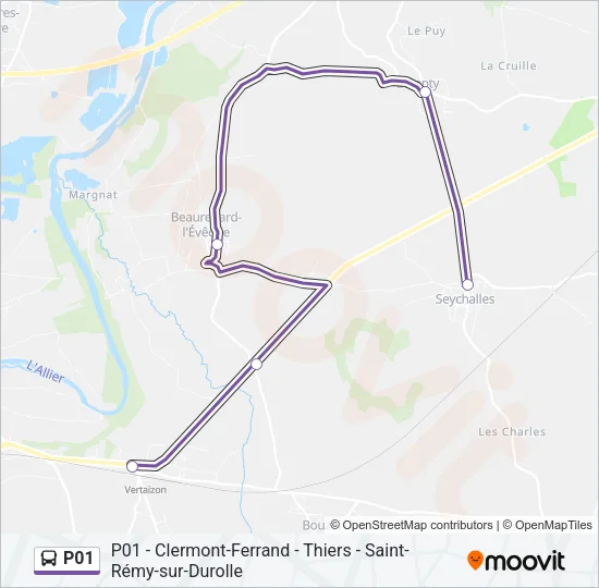 P01 Bus Line Map