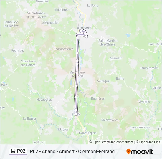 P02 Bus Line Map