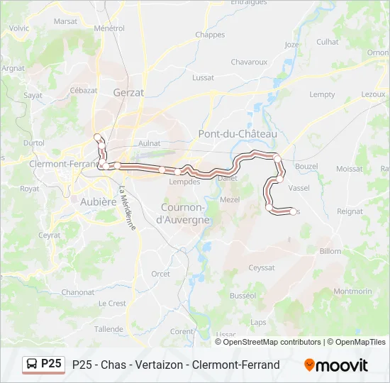 P25 Bus Line Map
