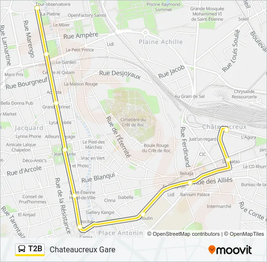 T2B Bus Line Map