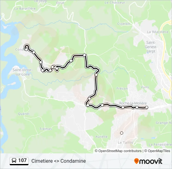 107 Bus Line Map