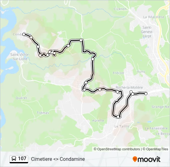 107 Bus Line Map