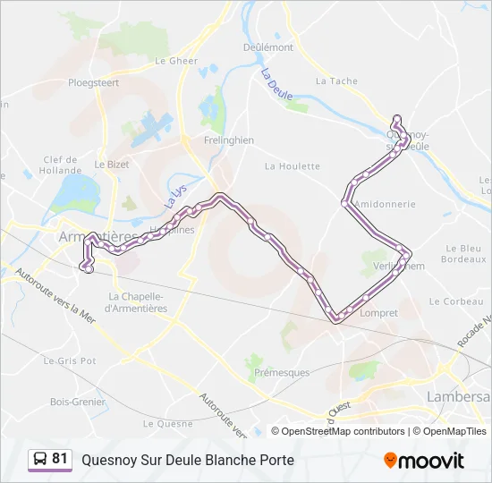 81 Bus Line Map