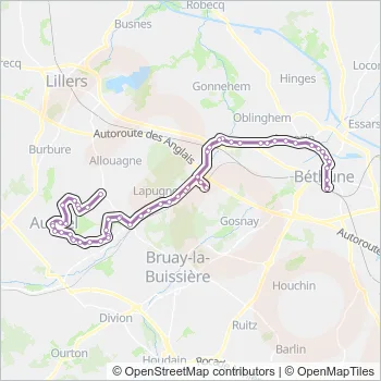 20 Bus Line Map