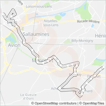 1462 Bus Line Map