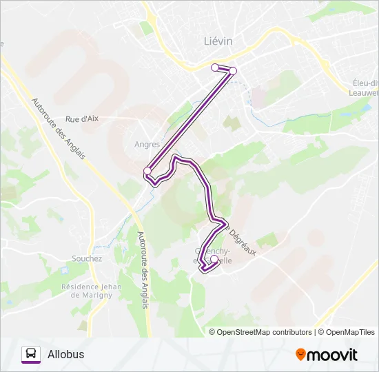 Plan de la ligne ALLOBUSG de bus