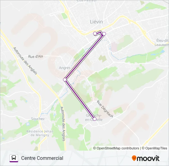 Plan de la ligne ALLOBUSG de bus