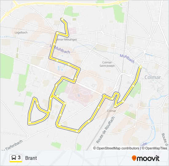 3 Bus Line Map