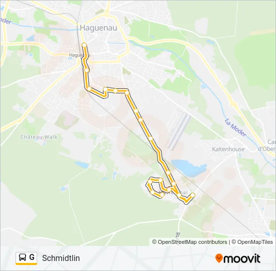 G Bus Line Map