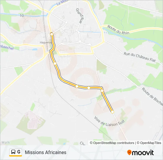 G Bus Line Map