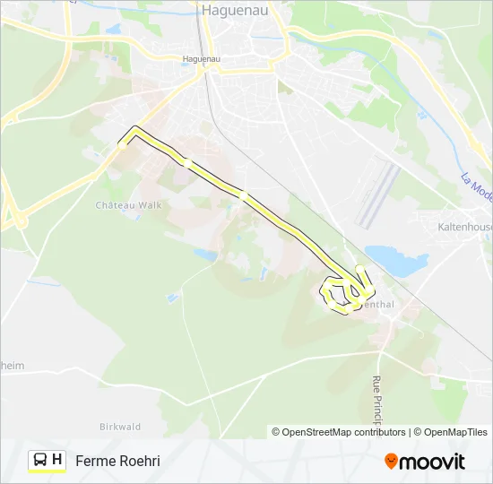 H Bus Line Map