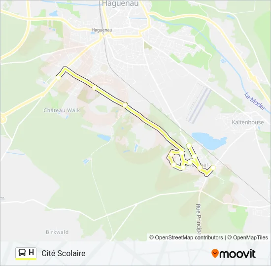 H Bus Line Map