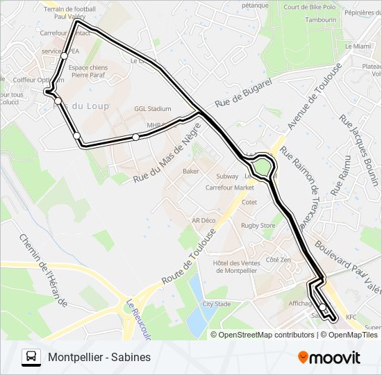 Plan de la ligne NAVETTE OVALIE de bus