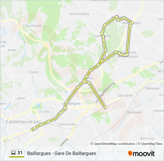 31 Bus Line Map
