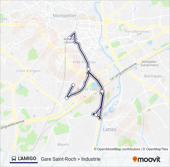 L'AMIGO Bus Line Map