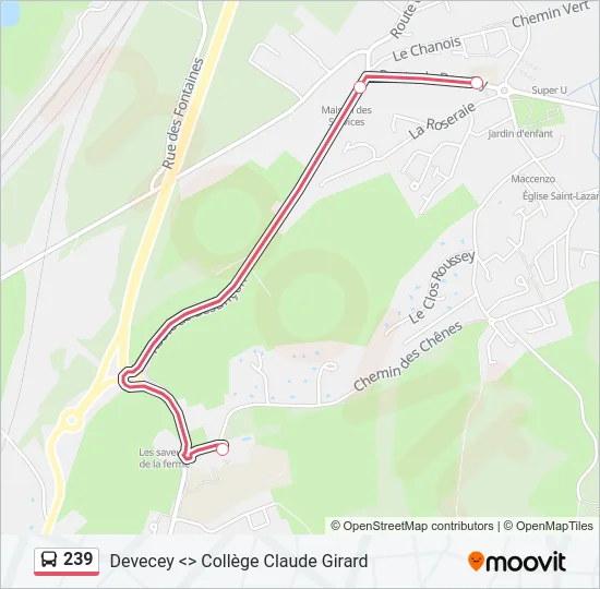 239 Bus Line Map