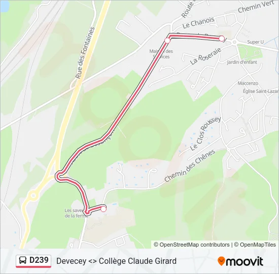 D239 Bus Line Map
