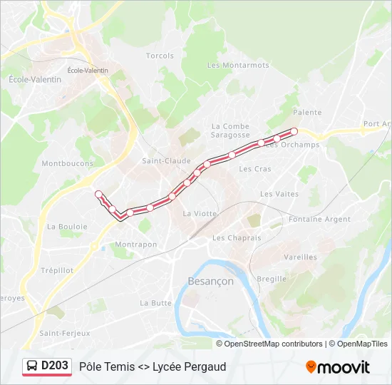 D203 Bus Line Map