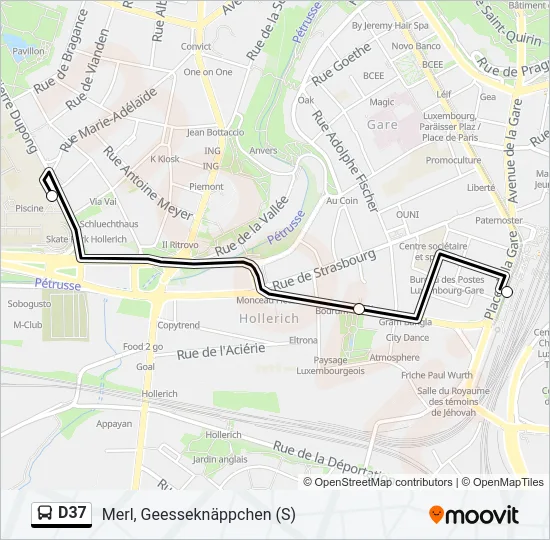 D37 Bus Line Map