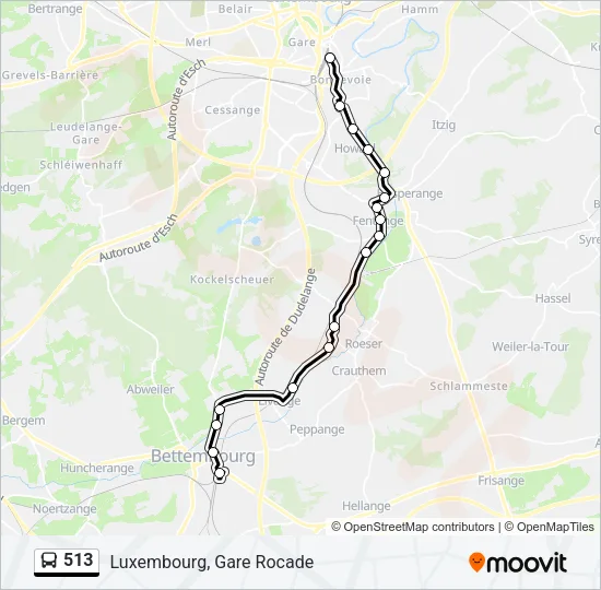 513 Bus Line Map