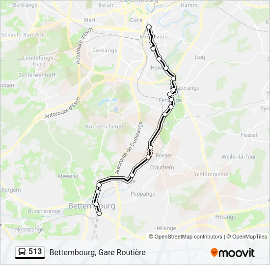 513 Bus Line Map