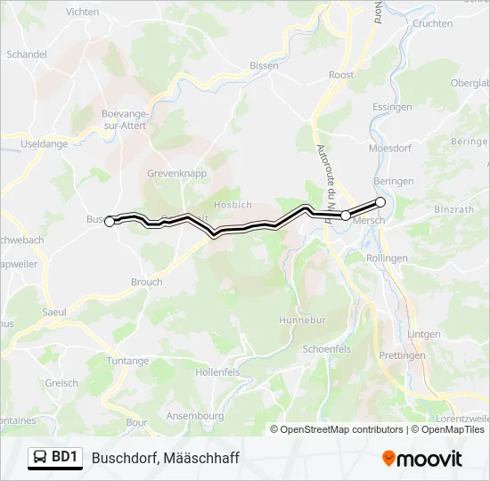 BD1 Bus Line Map