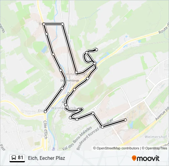 81 Bus Line Map