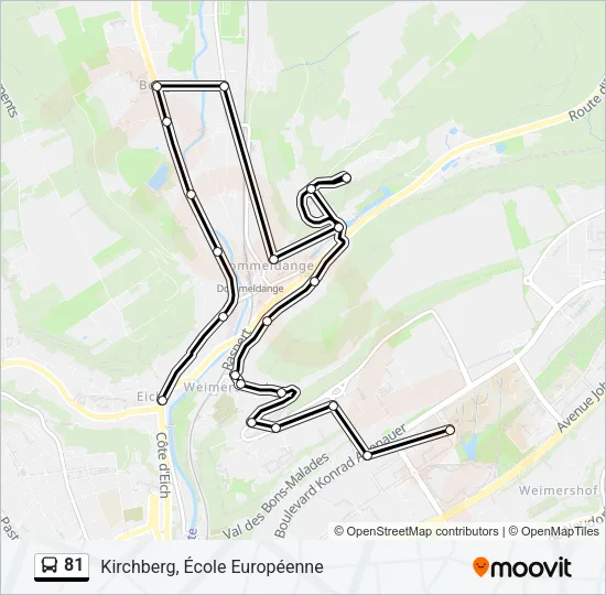 81 Bus Line Map