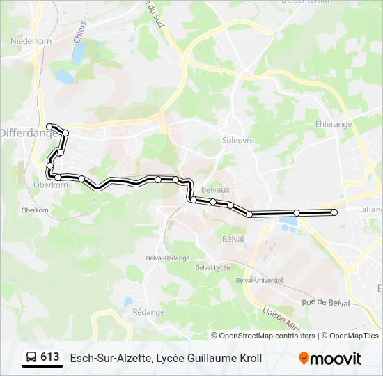 613 Bus Line Map