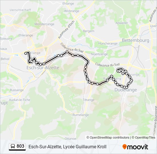 803 bus Line Map