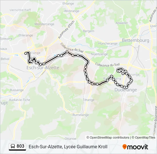 803 Bus Line Map