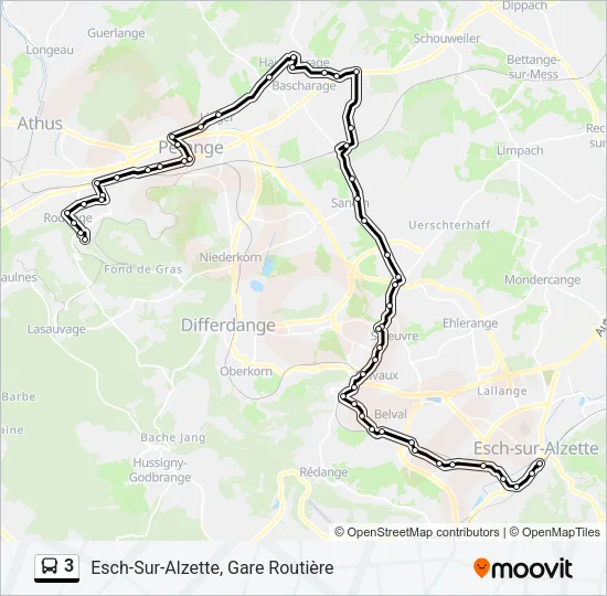 3 Bus Line Map
