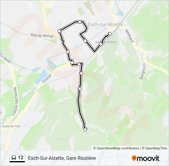 12 Bus Line Map