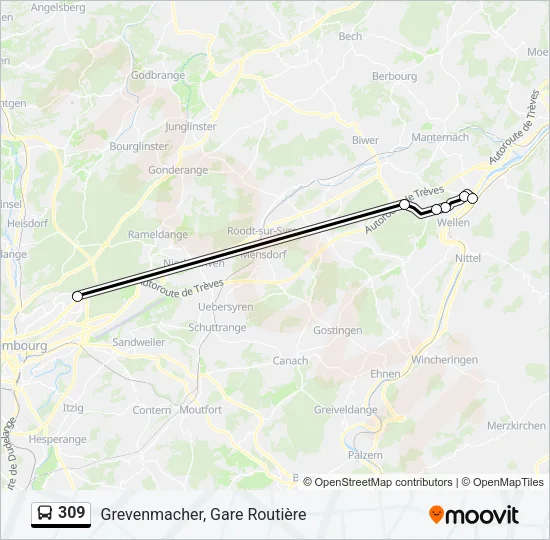 309 Bus Line Map