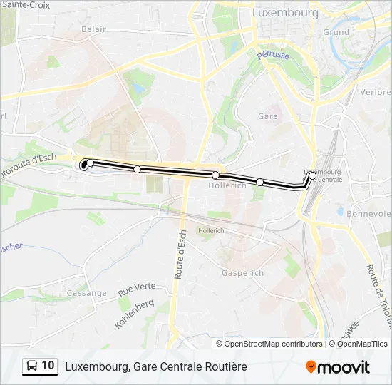10 Bus Line Map