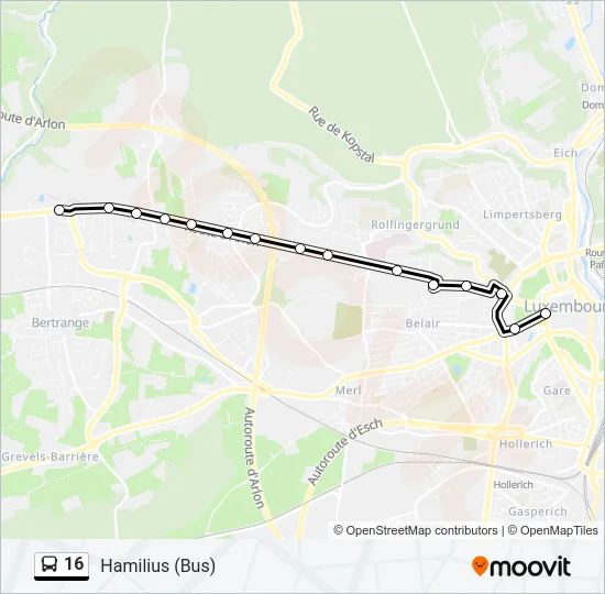 16 Bus Line Map