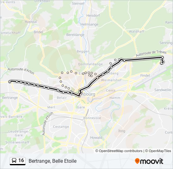 16 bus Line Map