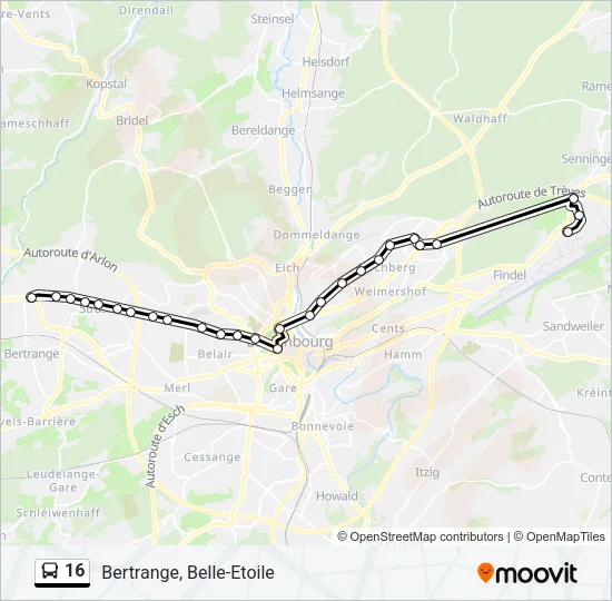 16 Bus Line Map