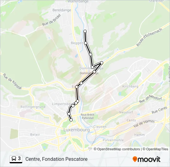 3 Bus Line Map