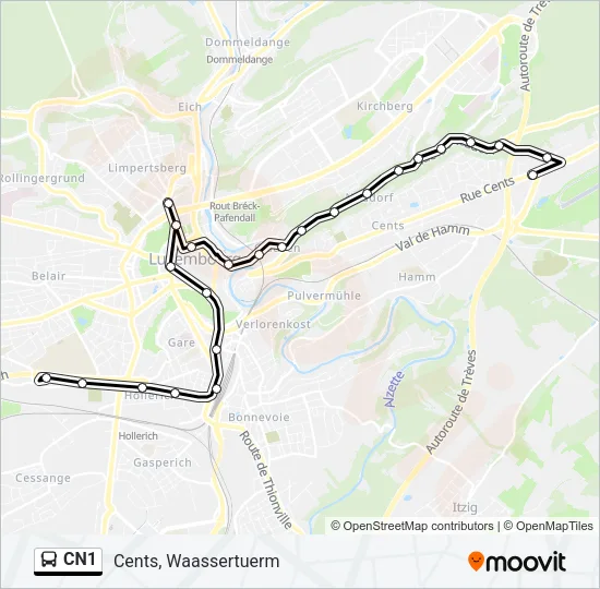 CN1 Bus Line Map