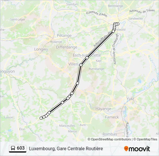 603 Bus Line Map