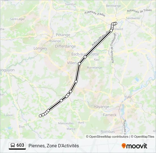 603 Bus Line Map