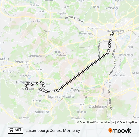 607 Bus Line Map