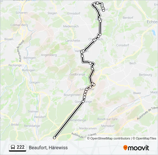 222 Bus Line Map