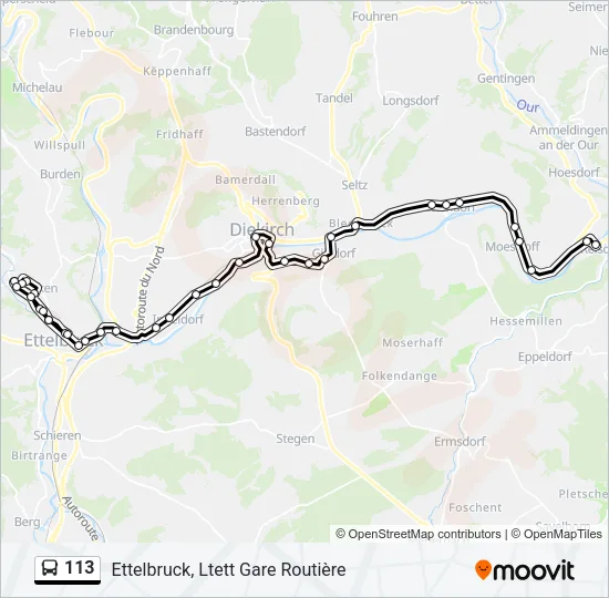 113 Bus Line Map