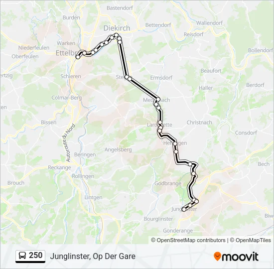250 Bus Line Map