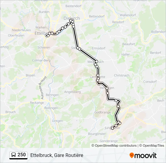 250 Bus Line Map